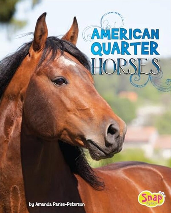 American Quarter Horses-..