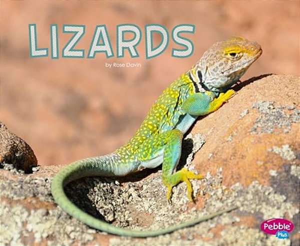 Lizards-..
