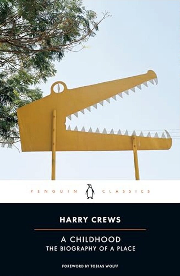 A Childhood: A Childhood: The Biography Of A Place-..