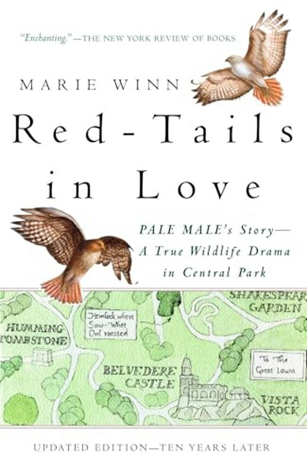 Red-Tails In Love: Pale Male's Story--a True Wildlife Drama In Central Park-..