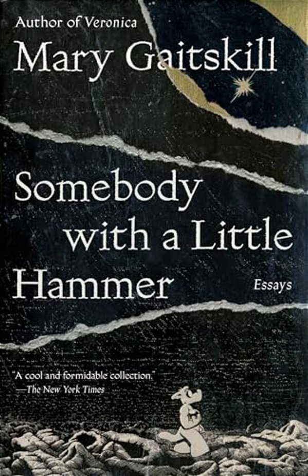 Somebody With A Little Hammer: Essays-..
