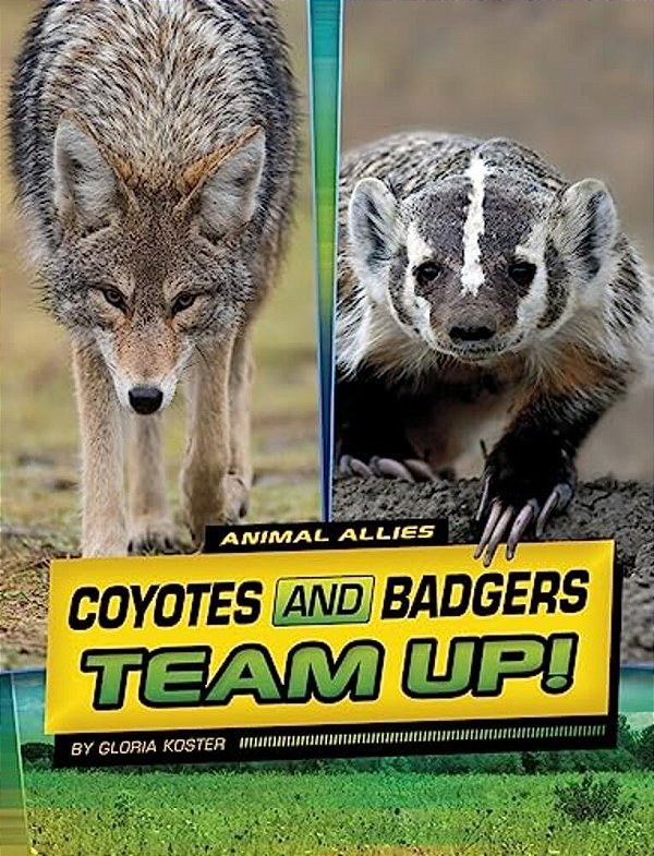 Coyotes And Badgers Team Up!-..