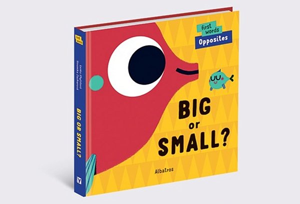 Big Or Small?