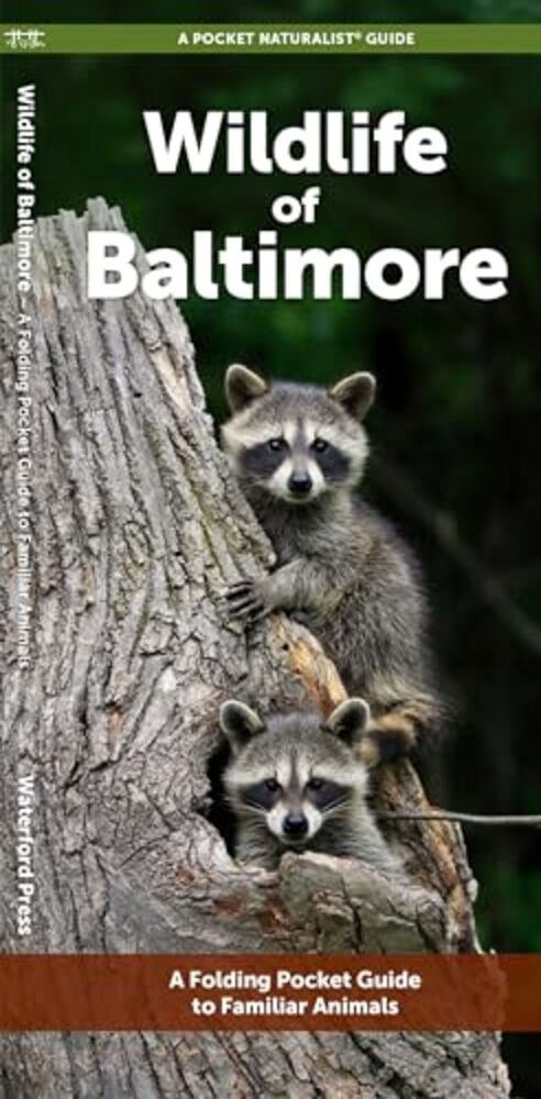 Wildlife Of Baltimore: A Folding Pocket Guide To Familiar Animals-..