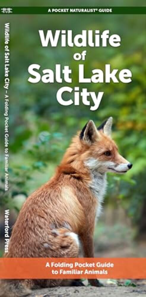 Wildlife Of Salt Lake City: A Folding Pocket Guide To Familiar Animals-..