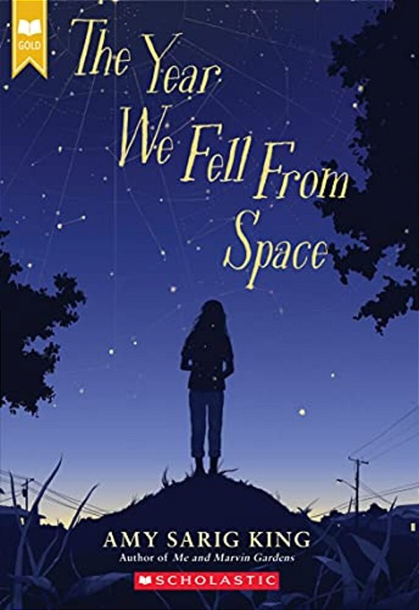 The Year We Fell From Space (Scholastic Gold)-..