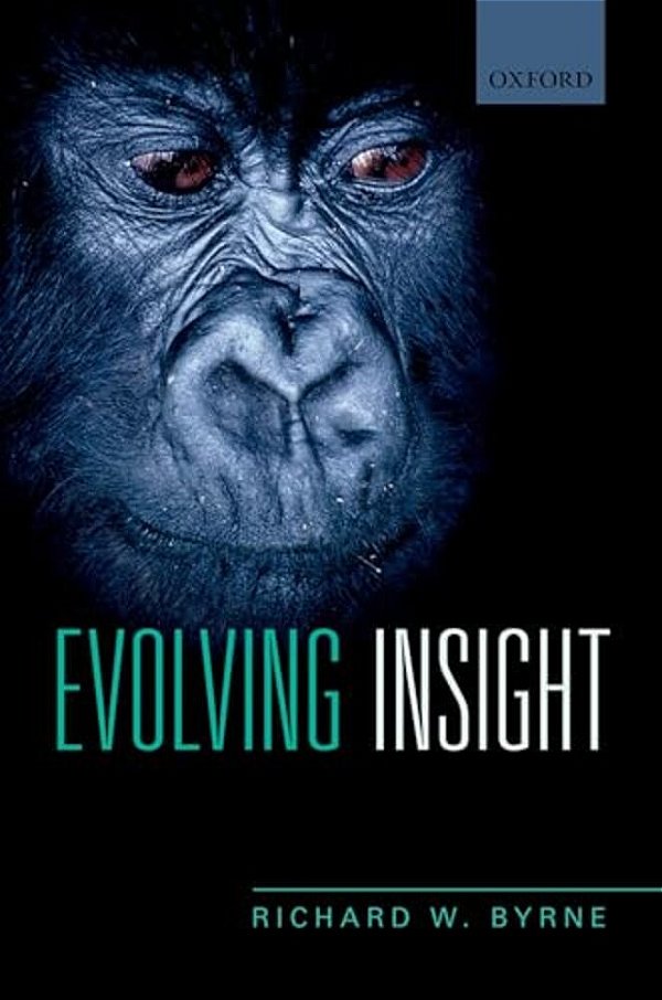Evolving Insight P-..