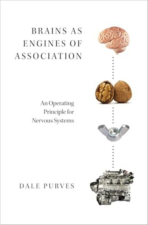 Brains As Engines Of Association C-..