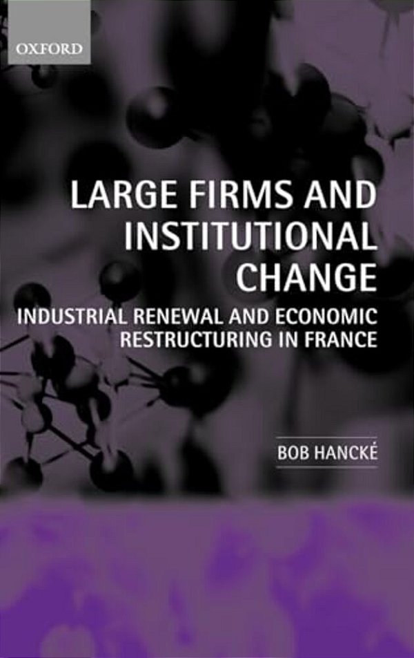 Large Firms And Institutional Change: Industrial Renewal And Economic Restructuring In France-..