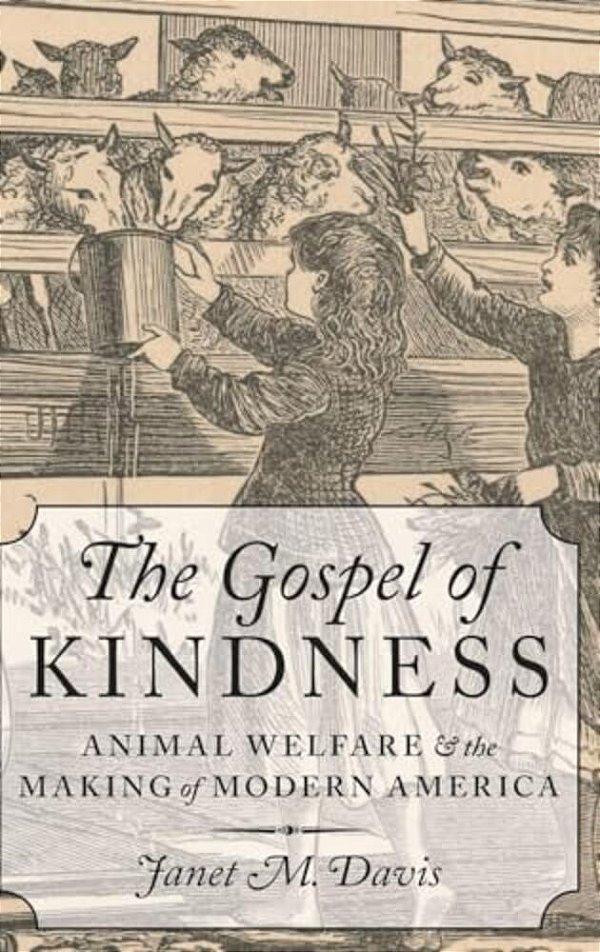 Gospel Of Kindness C-..