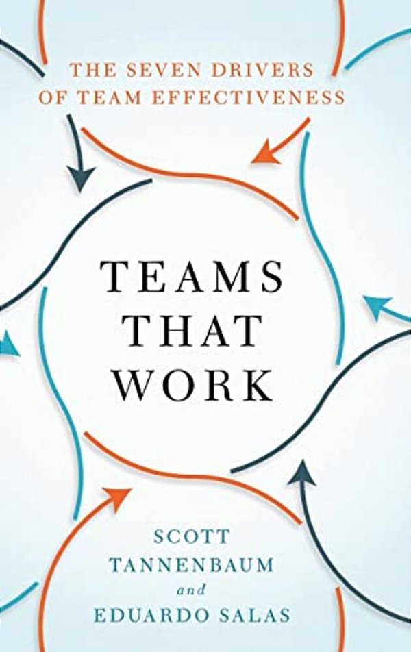 Teams That Work: The Seven Drivers Of Team Effectiveness-..