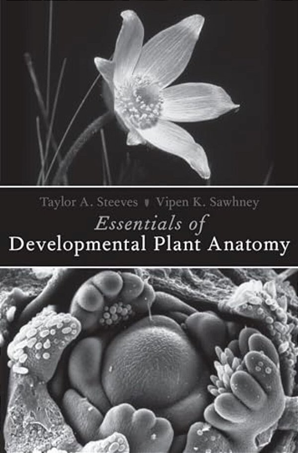 Essentials Of Developmental Plant Anatomy-..
