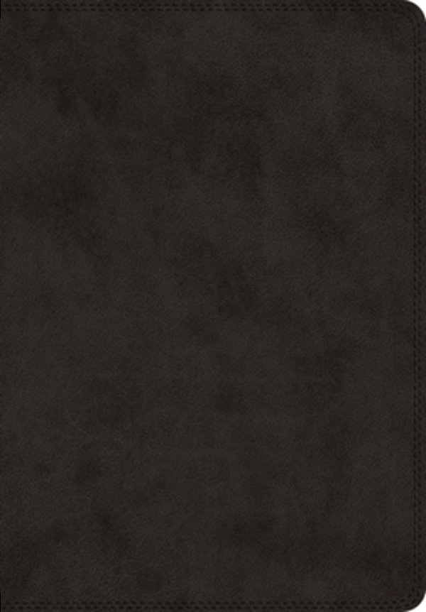 Esv Super Giant Print Bible (Trutone, Black)-..