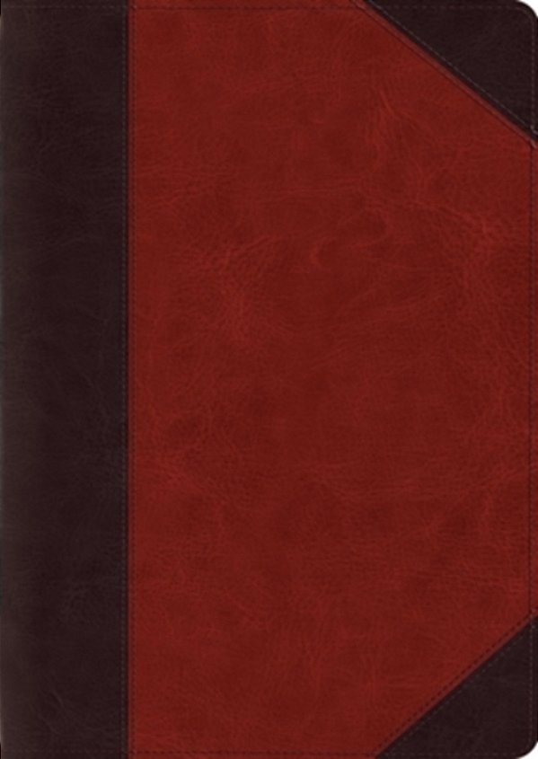 Esv Study Bible, Large Print (Trutone, Brown/Cordovan, Portfolio Design)-..
