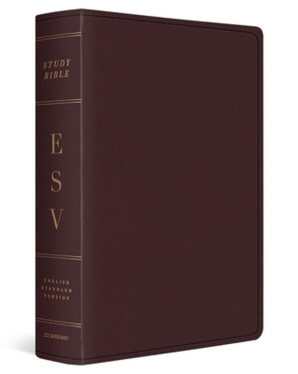 Esv Study Bible, Large Print (Bonded Leather, Burgundy)-..