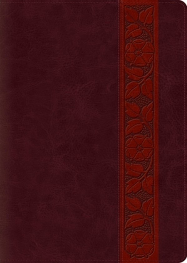 Esv Study Bible, Large Print (Trutone, Mahogany, Trellis Design, Indexed)-..