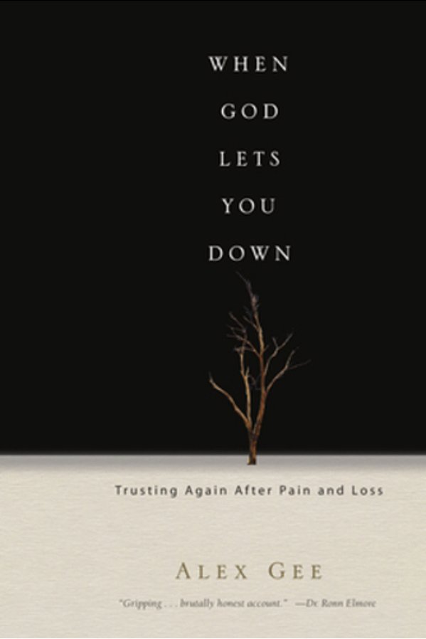 When God Lets You Down: Trusting Again After Pain And Loss-..