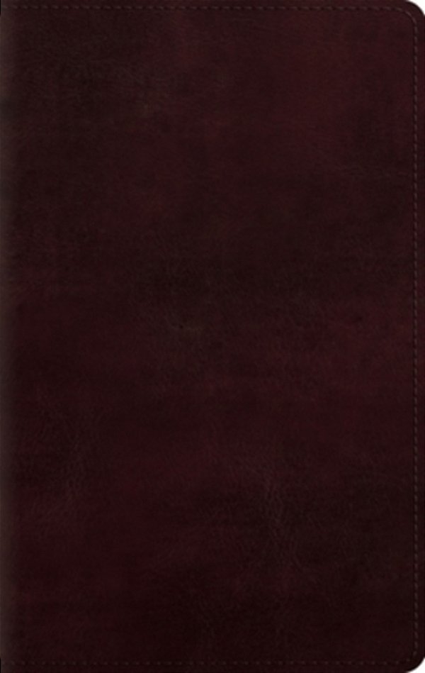 Large Print Personal Size Bible-Esv-..
