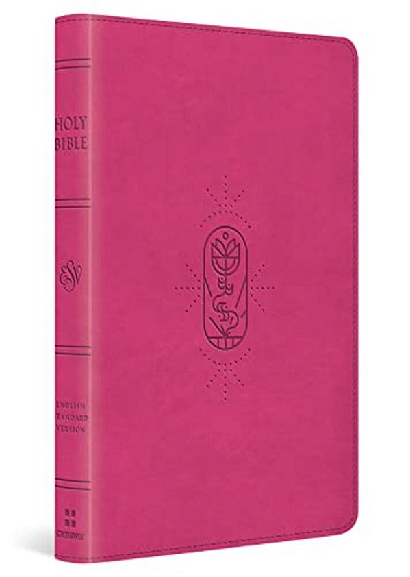 Esv Kid's Bible, Thinline, Red Letter (Trutone, Berry, The True Vine Design)-..