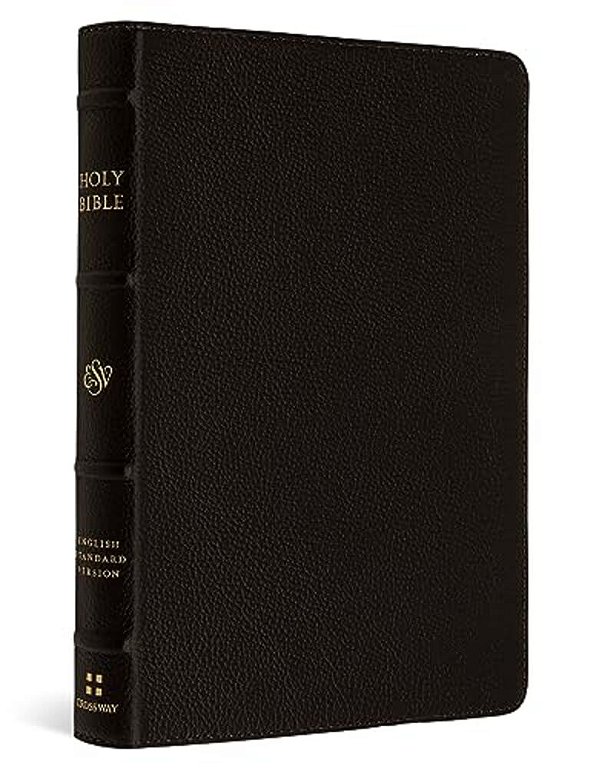 Esv Compact Bible (Buffalo Leather, Deep Brown)-..