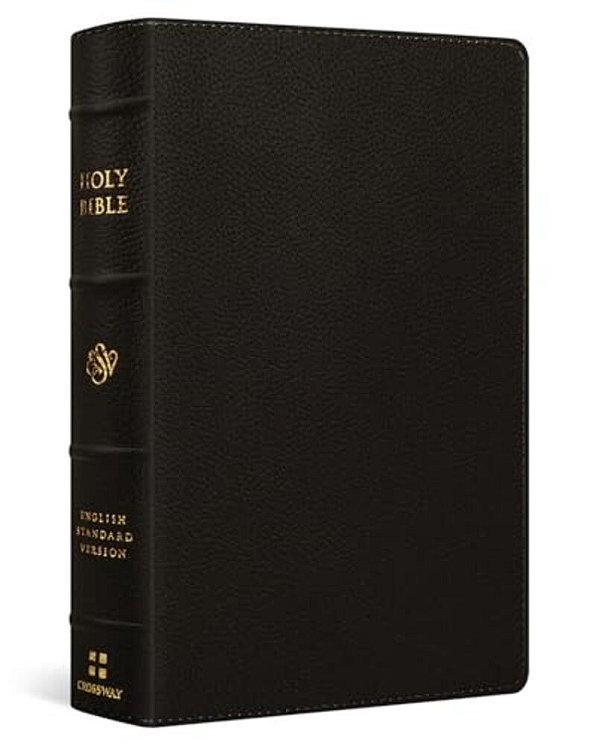 Esv Giant Print Personal Size Bible, Red Letter (Buffalo Leather, Deep Brown)-..