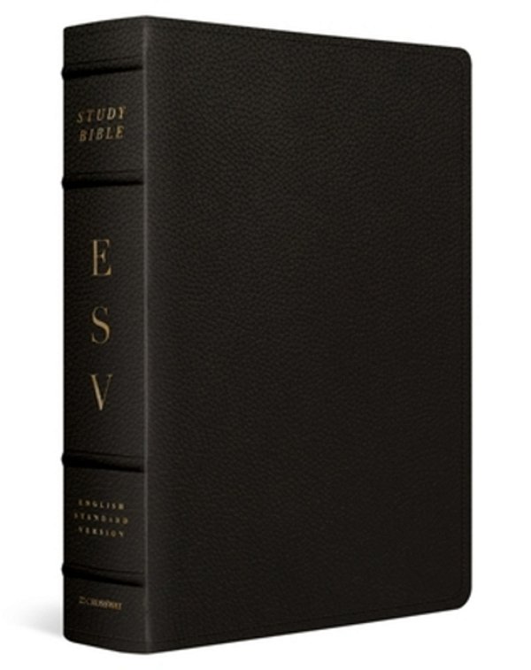 Esv Study Bible, Large Print (Buffalo Leather, Deep Brown)-..