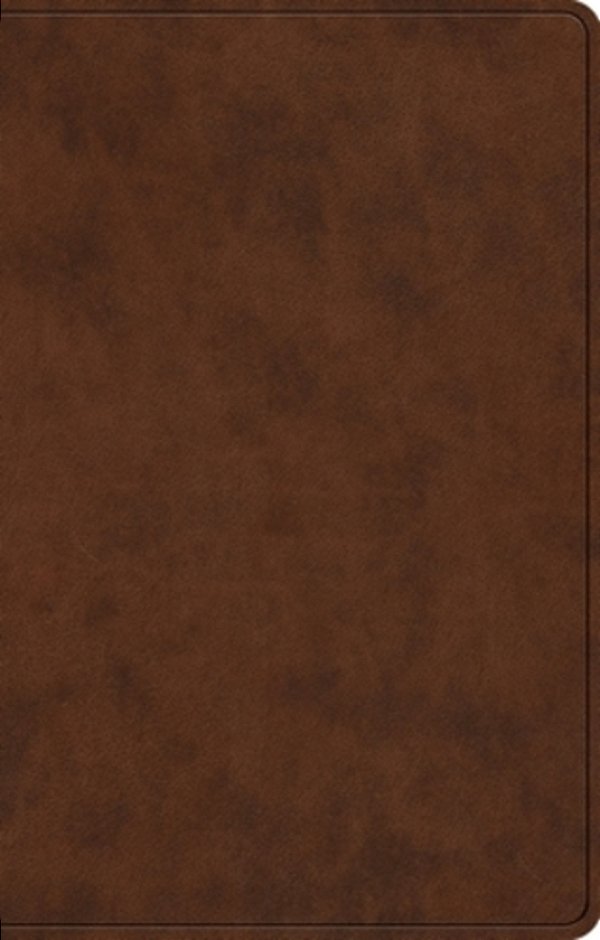 Esv Premium Gift Bible (Trutone, Brown)-..