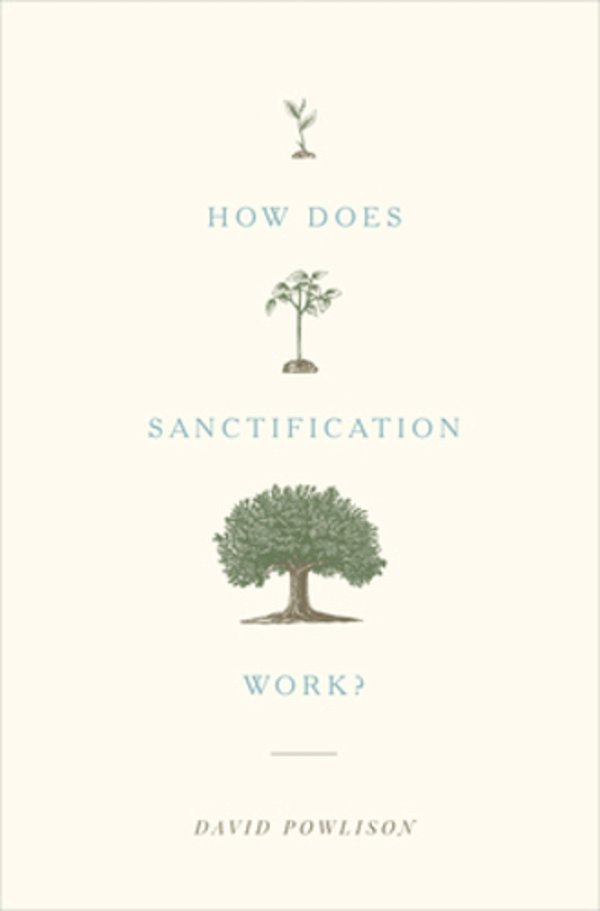 How Does Sanctification Work?-..