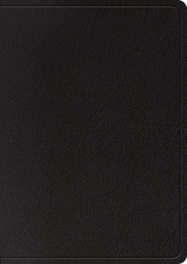 Esv Study Bible, Large Print (Black, Indexed)-..