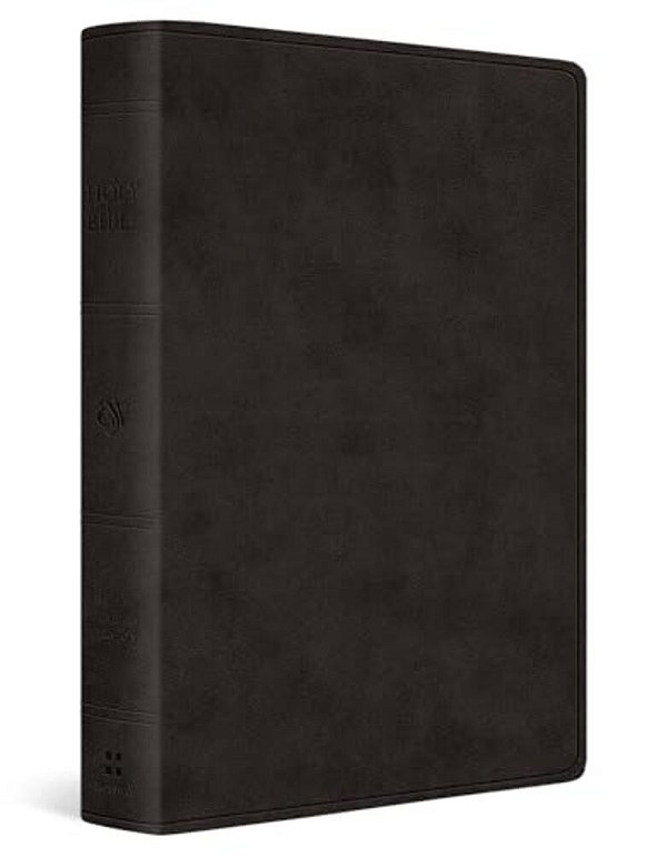 Esv Giant Print Value Personal Size Bible (Trutone, Black)-..