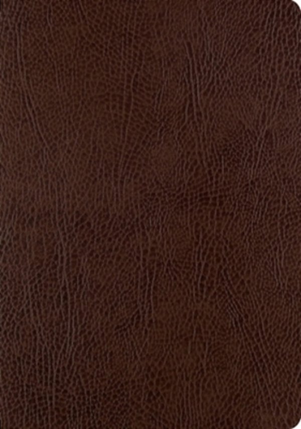 Esv Single Column Journaling Bible, Large Print (Mocha)-..