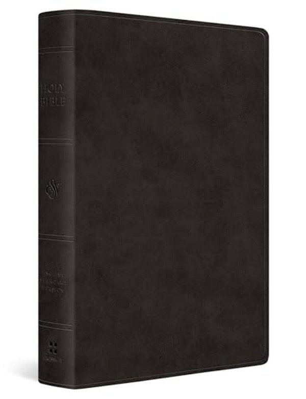 Esv Giant Print Value Thinline Bible (Trutone, Black)-..