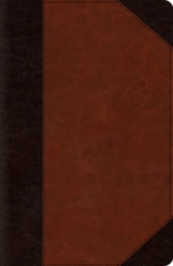 New Reference Bible-Esv-portfolio Design-..