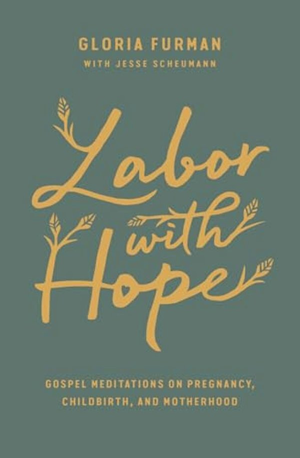 Labor With Hope: Gospel Meditations On Pregnancy, Childbirth, And Motherhood-..