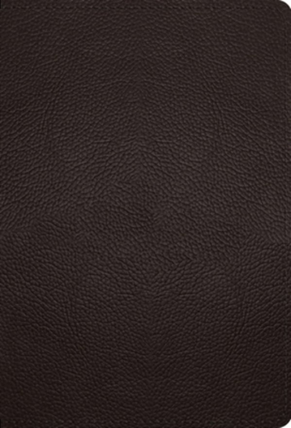 Esv Large Print Compact Bible (Buffalo Leather, Deep Brown)-..
