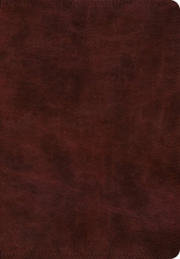 Esv Super Giant Print Bible (Trutone, Burgundy)-..