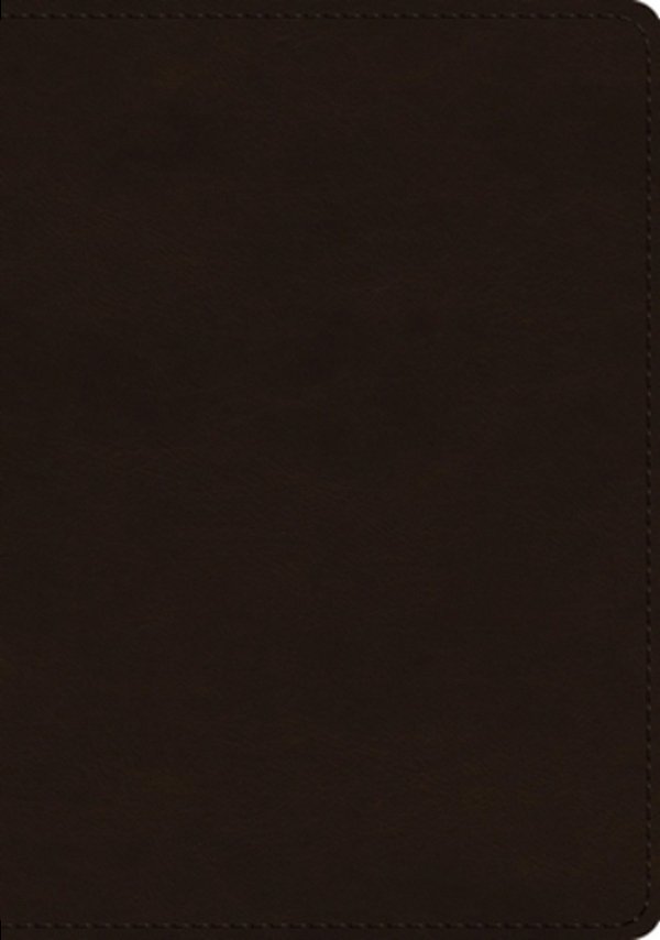 Esv Single Column Journaling Bible, Large Print (Trutone, Deep Brown)-..