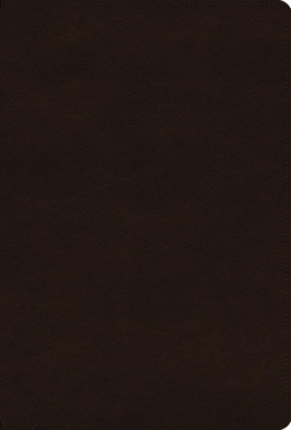 Esv Women's Study Bible (Trutone, Deep Brown)-..