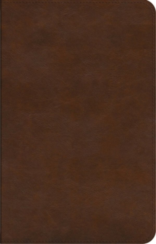 Esv Concise Study Bible(tm) (Trutone, Brown)-..