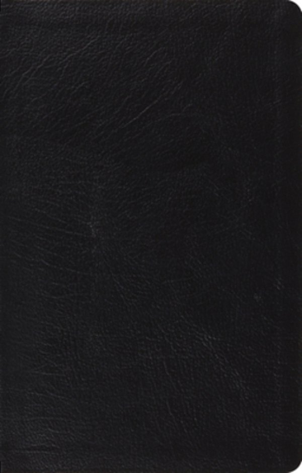 Large Print Thinline Reference Bible-Esv-..