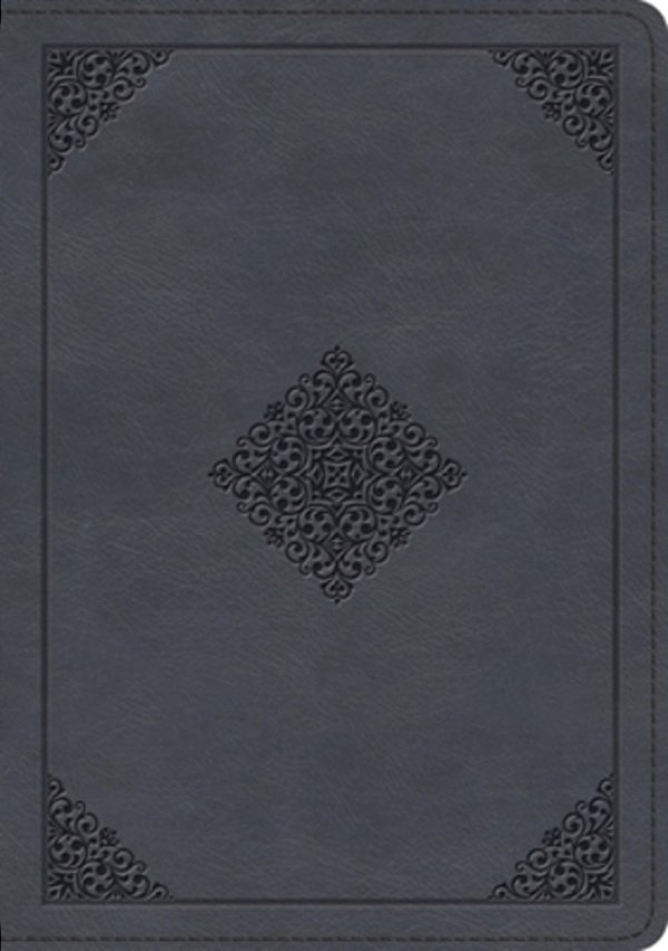 Esv Large Print Wide Margin Bible (Trutone, Slate Blue, Ornament Design)-..