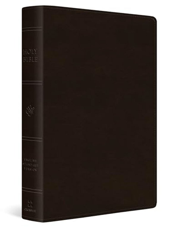 Esv Large Print Value Personal Size Bible (Trutone, Deep Brown)-..