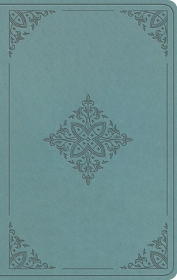 Esv Value Thinline Bible (Trutone, Paris Sky, Fleur-De-lis Design)-..