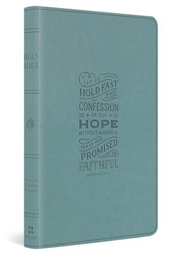 Esv Large Print Value Thinline Bible (Trutone, Paris Sky, Hebrews 10:23 Design)-..