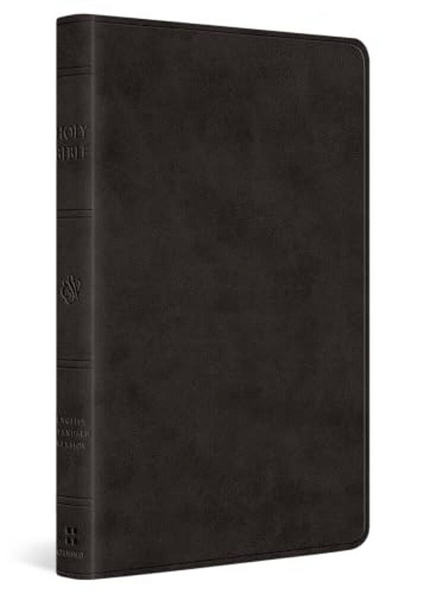 Esv Large Print Value Thinline Bible (Trutone, Black)-..