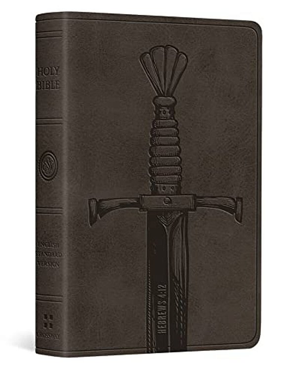 Esv Vest Pocket New Testament With Psalms And Proverbs, Red Letter (Trutone, Silver, Sword Design)-..