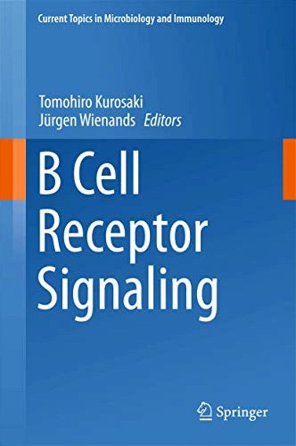 B Cell Receptor Signaling-..
