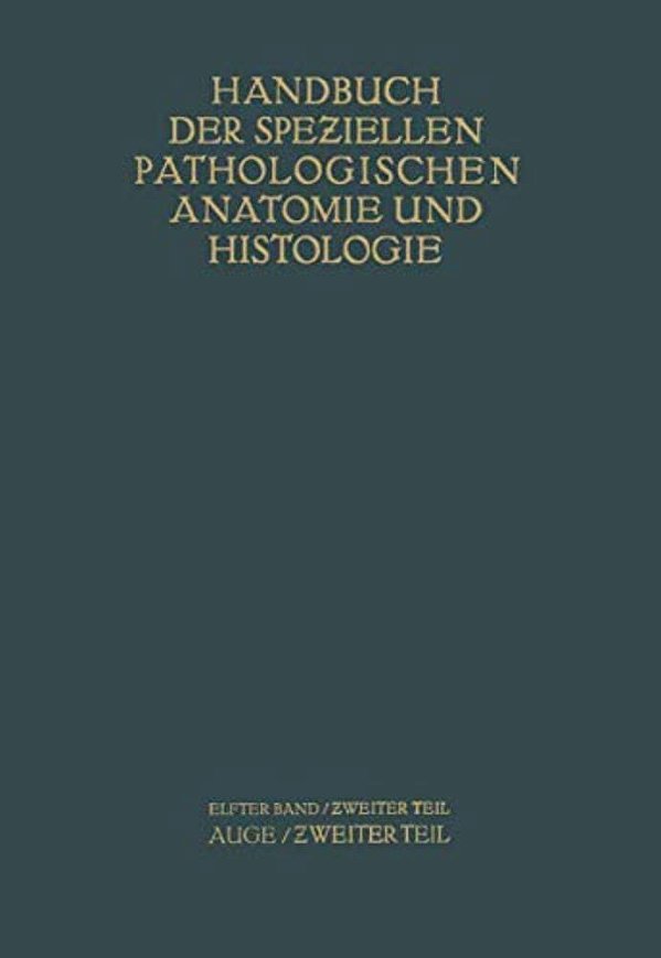 Auge: Zweiter Teil-..