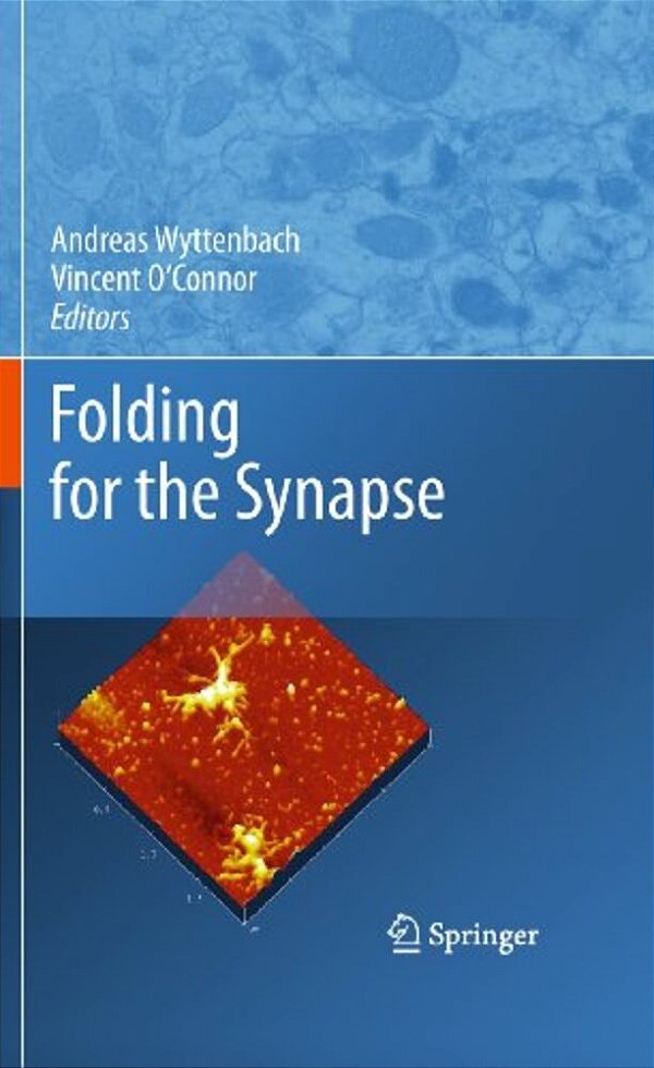 Folding For The Synapse-..