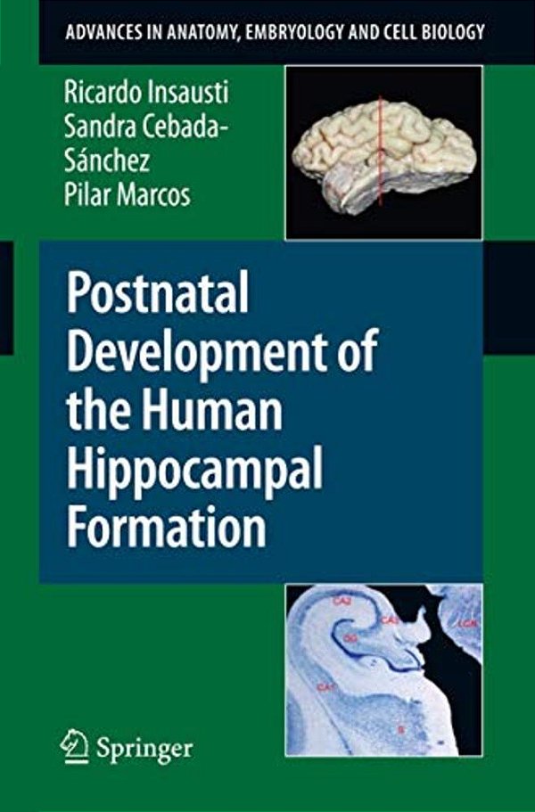 Postnatal Development Of The Human Hippocampal Formation-..